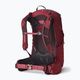 Women's hiking backpack Gregory Jade XS-S 28 l ruby red 6