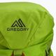Gregory Alpinisto 35 l climbing backpack green 02J*04041 5