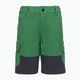 Children's trekking shorts LEGO Lwpayton 300 green 11010121