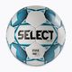 SELECT Team FIFA 2019 football 3675546002 size 5