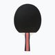 Double Fish DF-02 table tennis racket 7