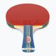 Double Fish 236A table tennis set 3