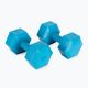 Meteor bitumen dumbbells 2 x 4 kg blue 30168 2