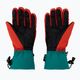 Viking Brother Louis men's ski gloves green/red 110/24/6226 2