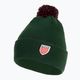 Men's winter cap PROSTO Brand green KL222MACC2172U 3