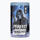 Amino acids Fitness Authority Skull Labs Perfect Amino 450 g blackberry/pineapple