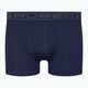 Men's thermal boxer shorts Brubeck BX10050A Comfort Cotton navy blue