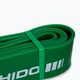 DBX BUSHIDO Power Band exercise rubber green 44 2