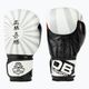 DBX BUSHIDO "Japan" sparring boxing gloves white B-2v8 3