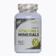 EL Vitamins & Minerals 6PAK vitamin and mineral complex 90 tablets PAK/109