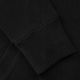 Men's sweatshirt Pitbull West Coast Hooded Small Logo 21 black 5
