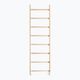 BenchK gymnastics ladder in natural wood BK-100 2