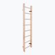 BenchK gymnastics ladder in natural wood BK-100