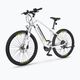 Electric bike EcoBike SX3/X-CR LG 13Ah white 1010401 8