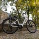 EcoBike LX300 LG electric bicycle white 1010306 19