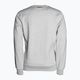 Men's sweatshirt Pitbull West Coast Crewneck Fern grey/melange 2