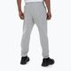 Men's trousers Pitbull West Coast Track Pants Athletic grey/melange 3