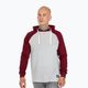Men's sweatshirt Pitbull West Coast Hooded Small Logo grey/burgundy
