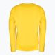 Men's sweatshirt Pitbull West Coast Crewneck Classic Boxing 21 yellow 2