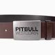Men's belt Pitbull West Coast Original Leather TNT brown 2