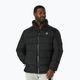 Men's winter jacket Pitbull West Coast Boxford Quilted black