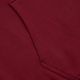 Men's sweatshirt Pitbull West Coast Everts Hooded burgundy 6