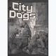 Pitbull West Coast City Of Dogs men's t-shirt graphite 5