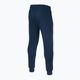 Pitbull Hilltop Track men's trousers Hatton navy 2