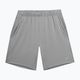 Men's training shorts 4F grey 4FSS23TFSHM240-25M