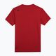 Men's training t-shirt 4F red 4FSS23TFTSM260-62M 2