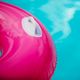 AQUASTIC pink children's swimming wheel ASR-076P 5