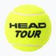 HEAD Tour tennis balls 4 pcs. 2