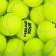 HEAD Tour tennis balls 4 pcs. 8