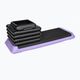 TREXO Aerobic stepper AS01 purple 5