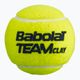Babolat TEAM CLAY tennis balls 18x4 green 502080 2