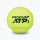 Dunlop ATP 18 x 4 tennis balls yellow 601314 4