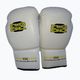 DIVISION B-2 boxing gloves DIV-PFG1500 Pro 3-Layer Foam white