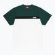 PROSTO men's t-shirt Plooz green