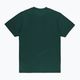 PROSTO men's t-shirt Plooz green 2