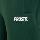 PROSTO men's trousers Digo green 3