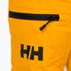 Helly Hansen children's ski trousers Elements yellow 41765_328 3