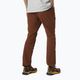 Helly Hansen men's Rask Light Softshell trousers brown 63048_301 2