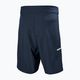 Men's swim shorts Helly Hansen HP Board 9" 3.0 navy 6