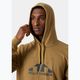 Men's Helly Hansen Nord Graphic Pull Over Hoodie lynx 3