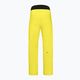 Men's ski trousers HEAD Summit yellow 821622 2