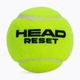 HEAD Reset Polybag tennis balls 72 pcs green 575030 2