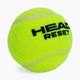 HEAD Reset Polybag tennis balls 72 pcs green 575030 3