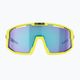 Bliz Vision bicycle goggles matt yellow/smoke blue multi 52001-63 9