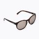 Sunglasses POC Know tortoise brown/clarity road silver