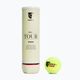 Tretorn Serie+ tennis balls 4 pcs. 3T01